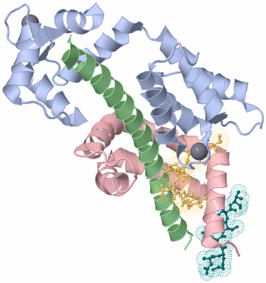 Image Biological Unit 1