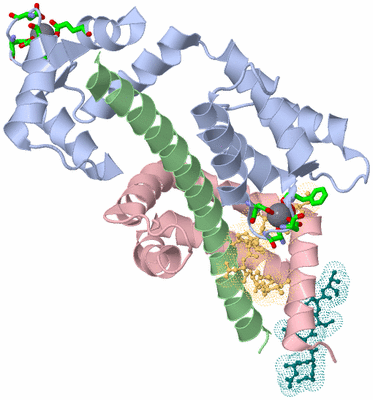 Image Biol. Unit 1 - sites