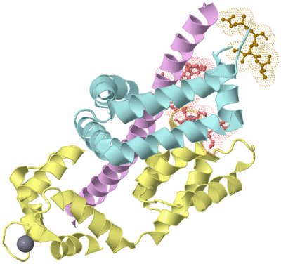 Image Biological Unit 2