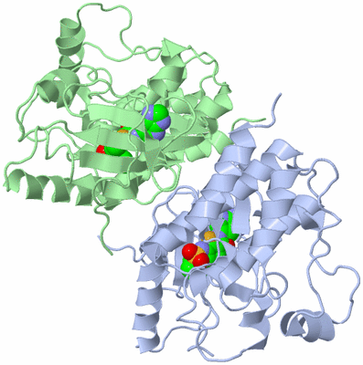 Image Asym./Biol. Unit