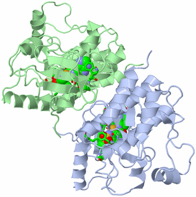 Image Asym./Biol. Unit - sites