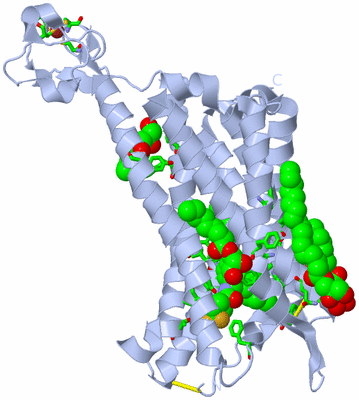 Image Biol. Unit 1 - sites