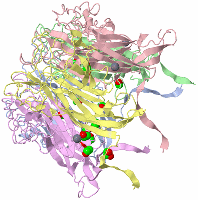 Image Biological Unit 1