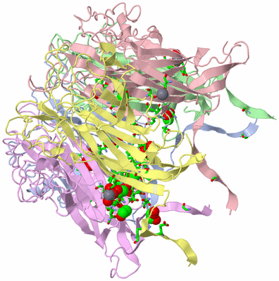 Image Biol. Unit 1 - sites