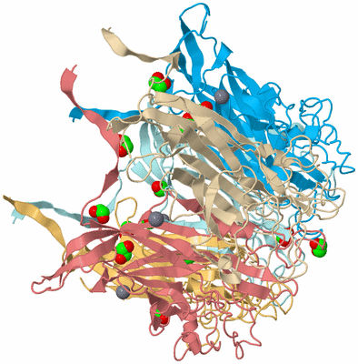 Image Biological Unit 2