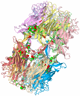 Image Asym. Unit - sites