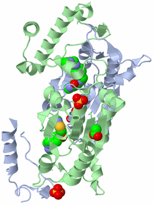 Image Asym./Biol. Unit