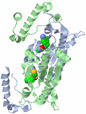 Image Asym./Biol. Unit