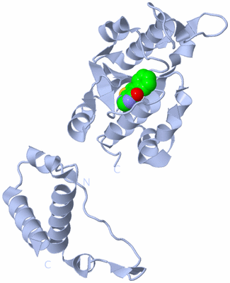 Image Biological Unit 1