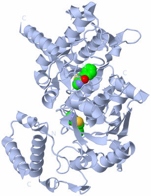 Image Biological Unit 2