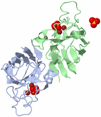 Image Biological Unit 1