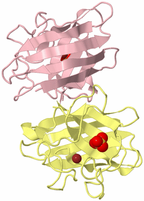 Image Biological Unit 2