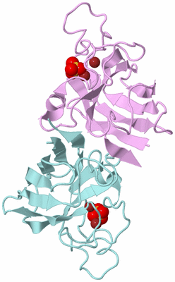 Image Biological Unit 3