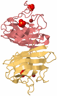 Image Biological Unit 4