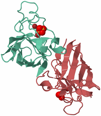 Image Biological Unit 6