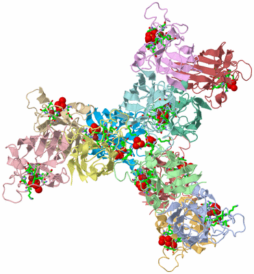 Image Asym. Unit - sites