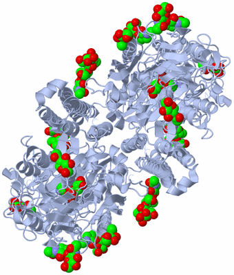 Image Biological Unit 1