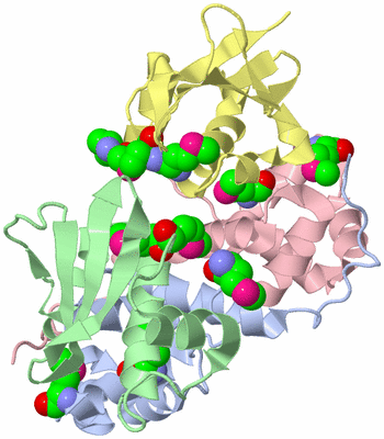 Image Asym./Biol. Unit