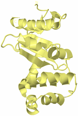 Image Biological Unit 4