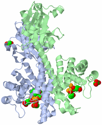 Image Asym./Biol. Unit