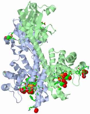 Image Asym./Biol. Unit - sites