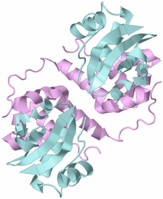 Image Biological Unit 2