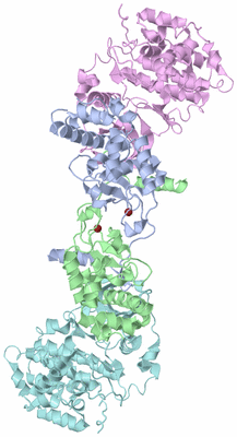 Image Biological Unit 1