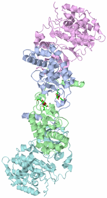 Image Biol. Unit 1 - sites