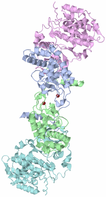 Image Biological Unit 1