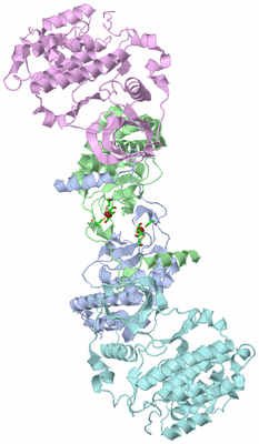 Image Biol. Unit 1 - sites