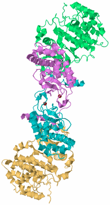 Image Biological Unit 3