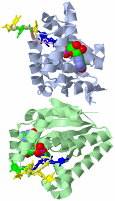 Image Biological Unit 1