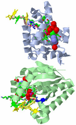 Image Biol. Unit 1 - sites