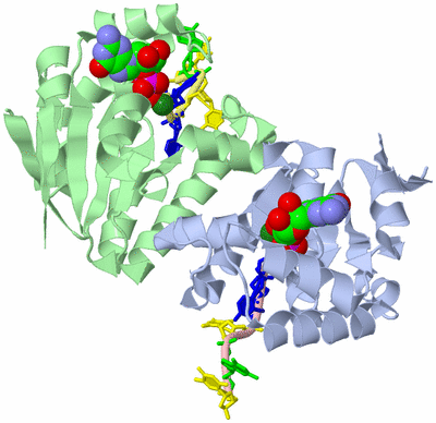 Image Biological Unit 2