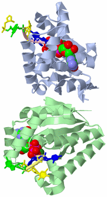 Image Asym./Biol. Unit