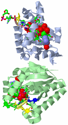 Image Asym./Biol. Unit - sites