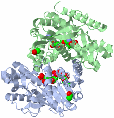 Image Asym./Biol. Unit