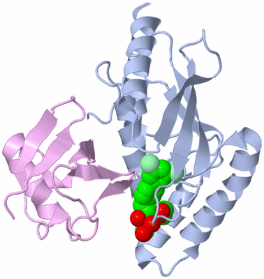 Image Biological Unit 1