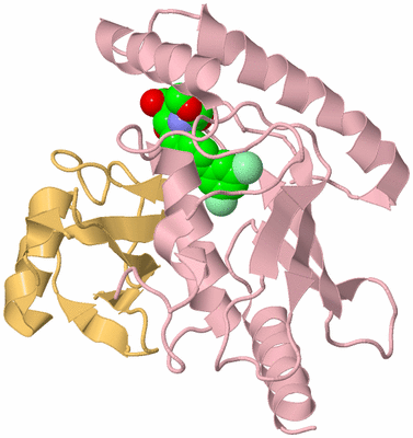 Image Biological Unit 3