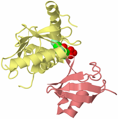 Image Biological Unit 4