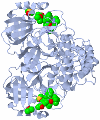 Image Biological Unit 1