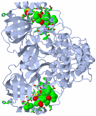 Image Biol. Unit 1 - sites