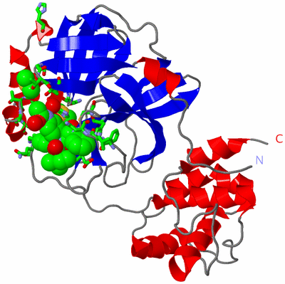 Image Asym. Unit - sites