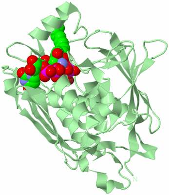 Image Biological Unit 2