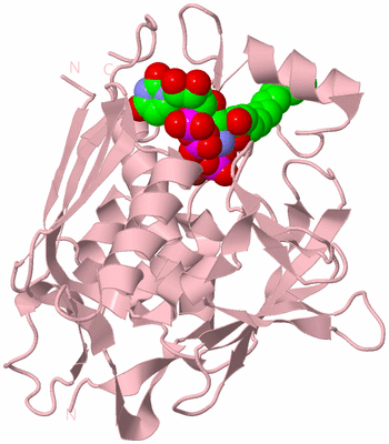 Image Biological Unit 3