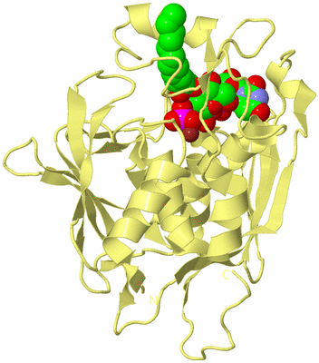 Image Biological Unit 4