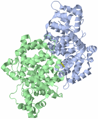 Image Asym./Biol. Unit