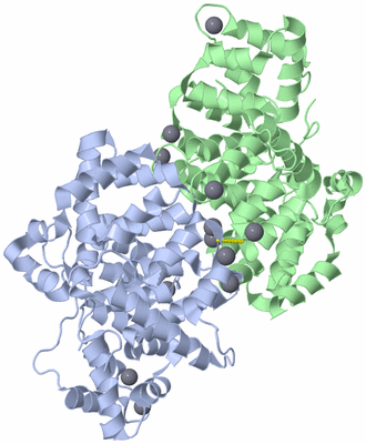 Image Biological Unit 2