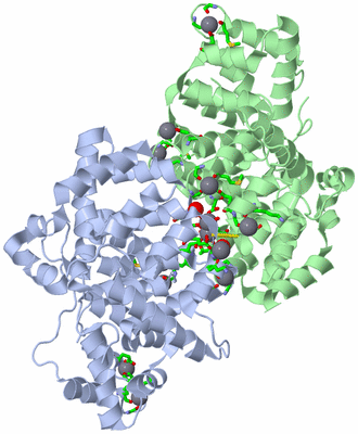 Image Asym. Unit - sites