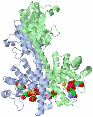 Image Asym./Biol. Unit